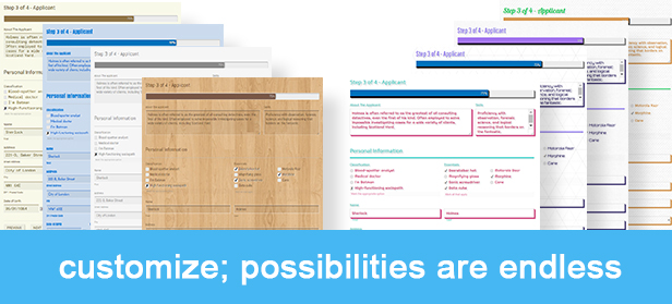 Gravity Forms Styles Pro Add-on - 10