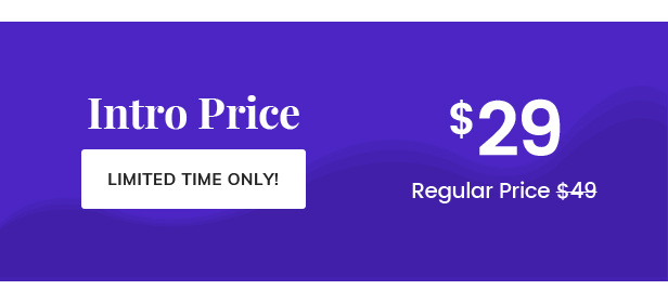 Offer Price - SaaSHub WordPress Theme