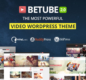 WordPress Video Robot - The Ultimate Video Importer - 25