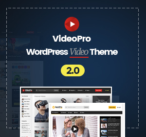 WordPress Video Robot - The Ultimate Video Importer - 24