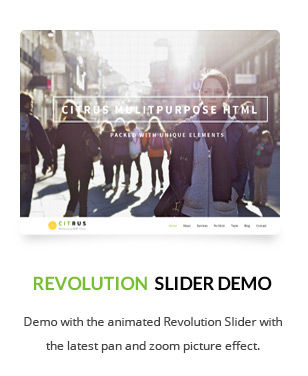 Citrus - WordPress One Page Theme - 3