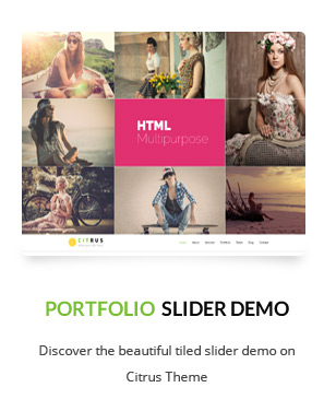 Citrus - WordPress One Page Theme - 5