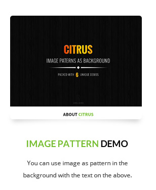 Citrus - WordPress One Page Theme - 7