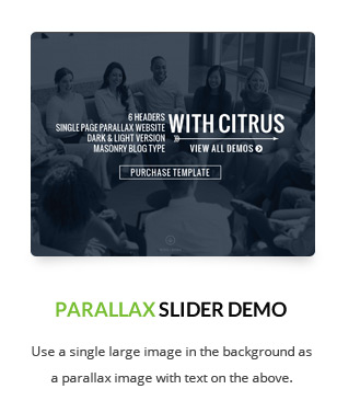 Citrus - WordPress One Page Theme - 6