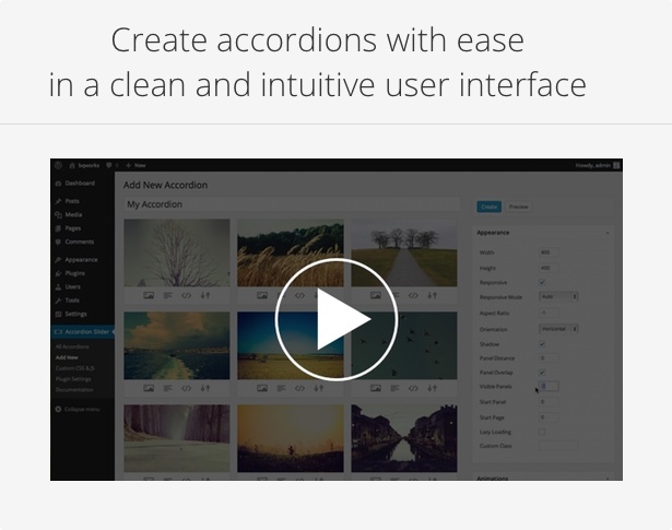 Accordion Slider - Responsive WordPress Plugin - 3