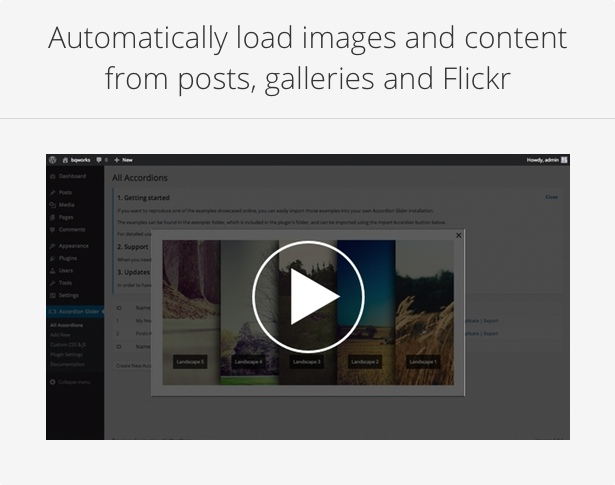 Accordion Slider - Responsive WordPress Plugin - 4