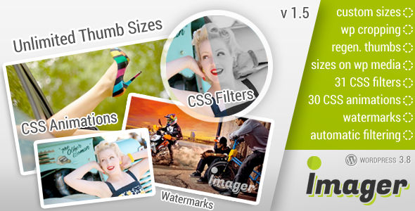 Bundle WordPress gallery, portfolio, slider and utility WordPress plugins - 12