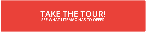 LiteMag - Easy to use Minimalist Magazine Theme - 1