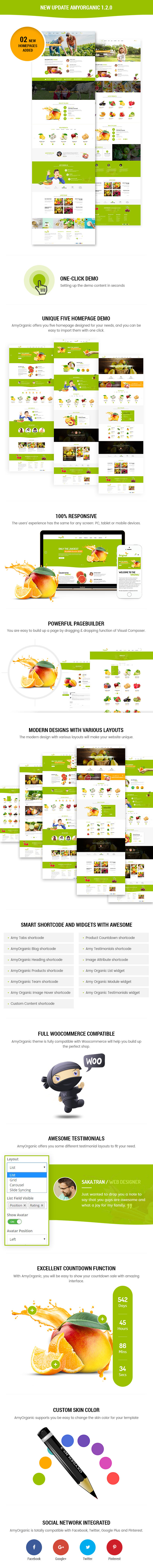 AmyOrganic - Organic and Healthy Theme for WordPress - 1