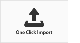 One Click Demo Importer