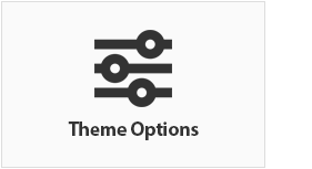 Advanced Theme Option