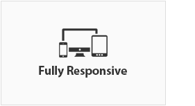 Fully Responsive