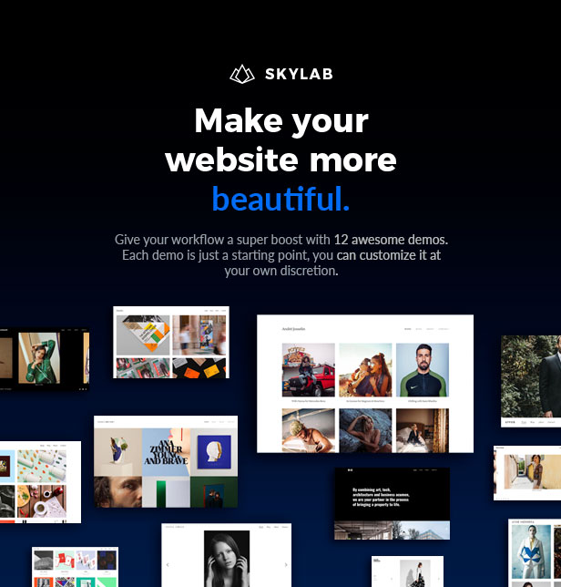 Skylab - Portfolio / Photography WordPress Theme - 2