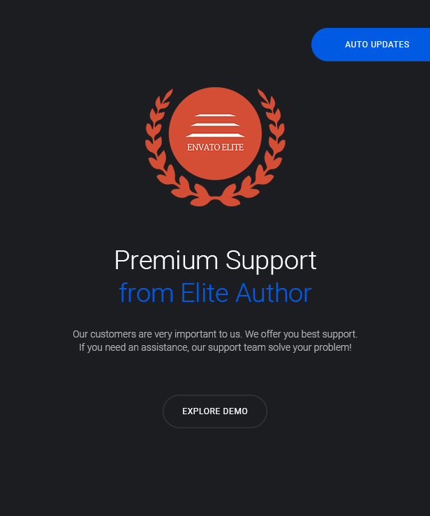 WordPress theme support