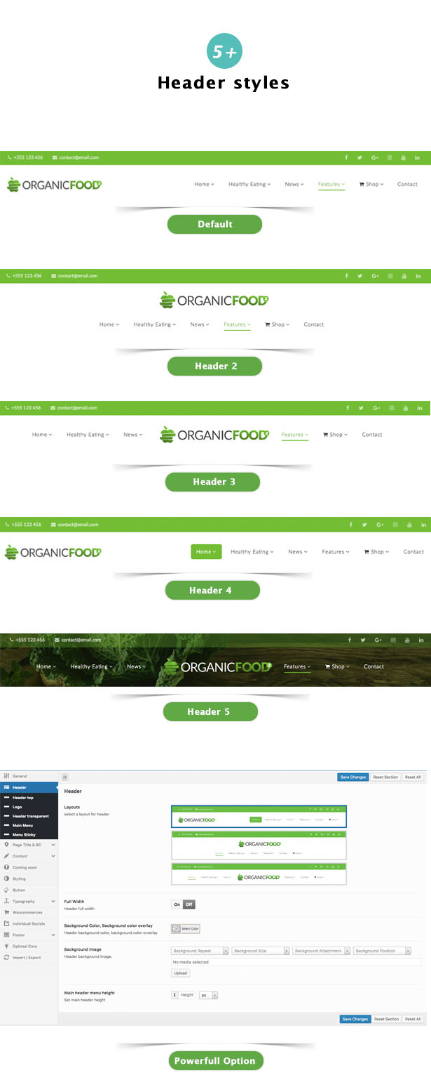 Organic Food - Farm & Food Business Eco WordPress Theme - 18