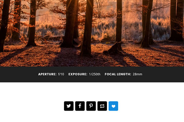 Exposure Tumblr Theme - 8