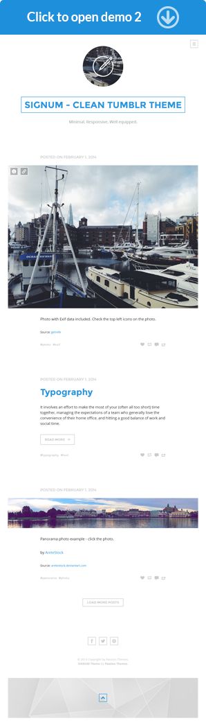 SIGNUM - Clean Responsive Tumblr Theme - 8