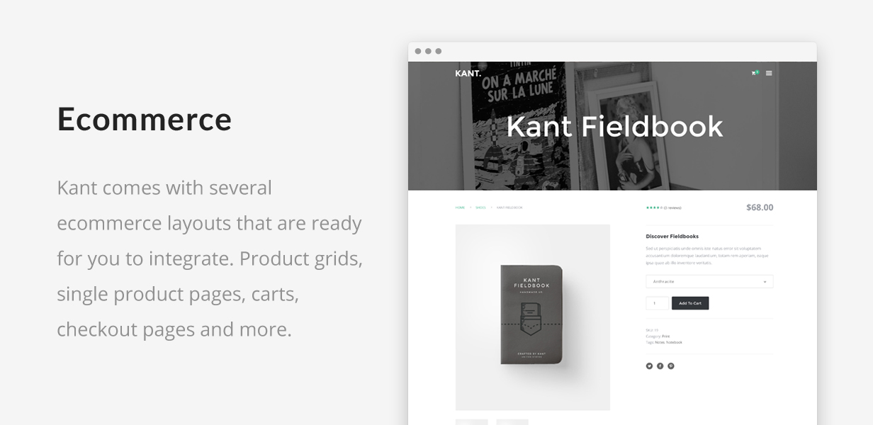 Kant - A Multipurpose Template For Startups And Freelancers - 4