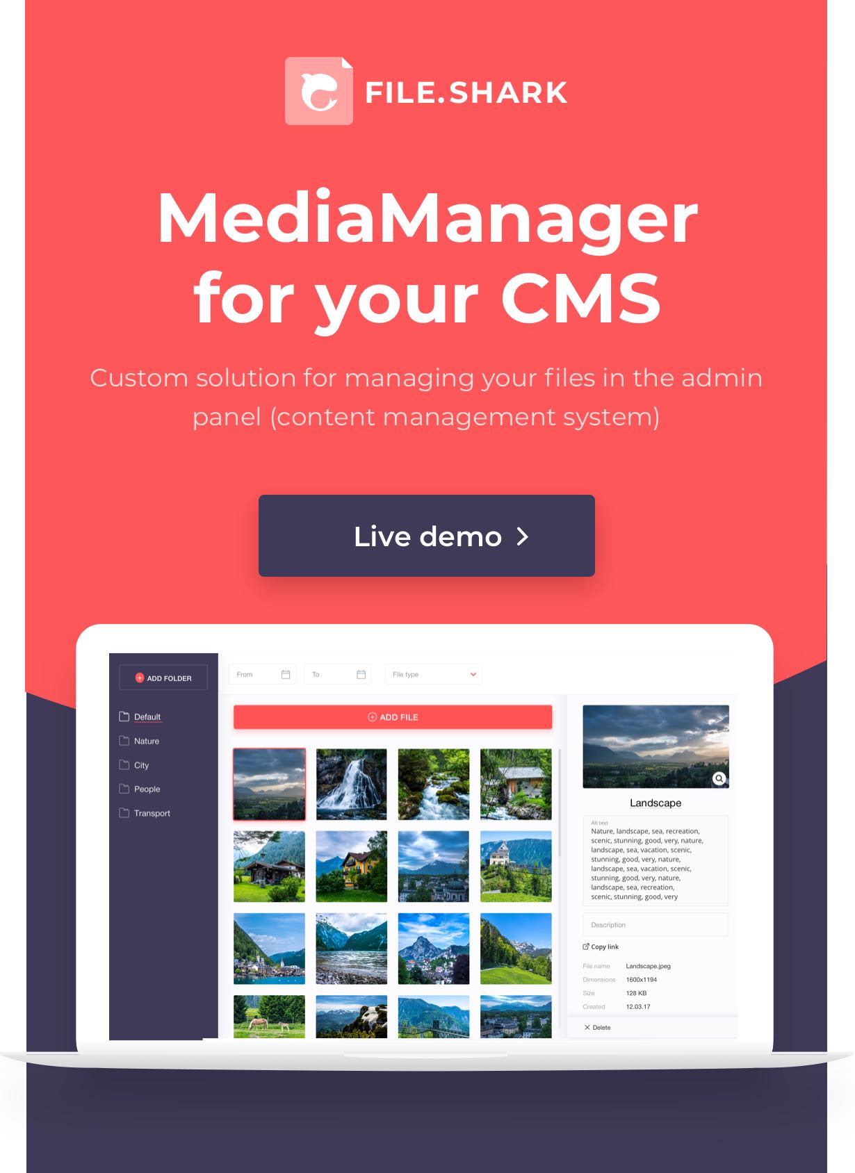 Media manager for your CMS - Custom interface solution for file management in your content management system.