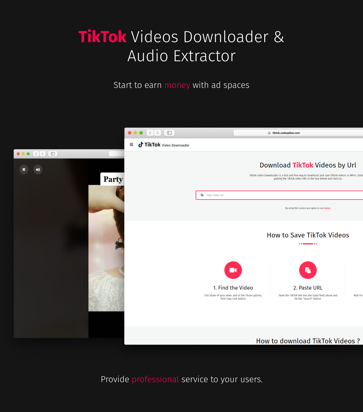 TikTok Video Downloader & Audio Extractor - 2
