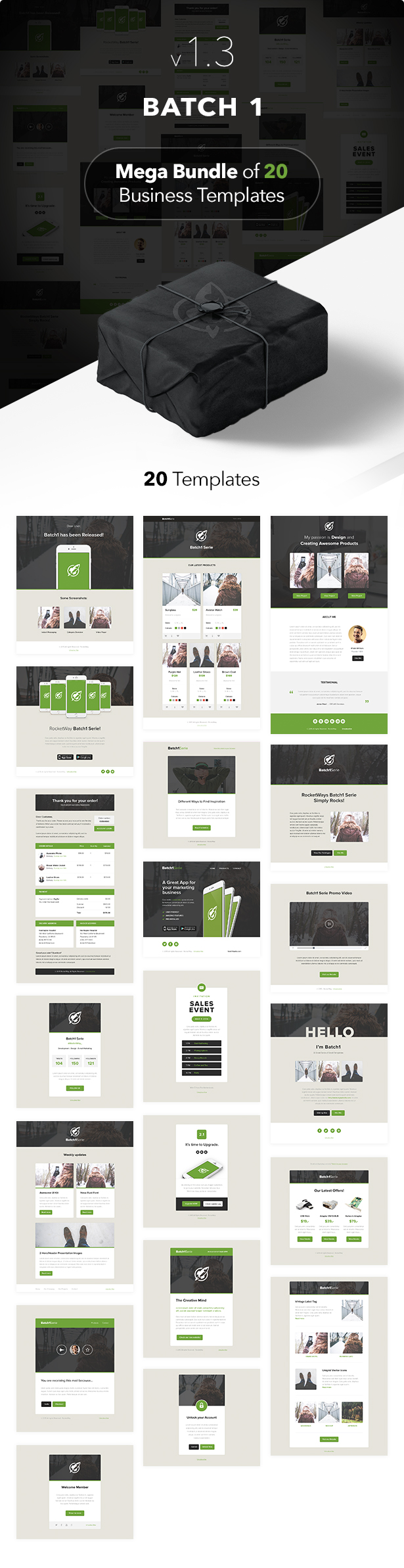 Batch1 - Complete Set of 20 Business Email Templates - 1