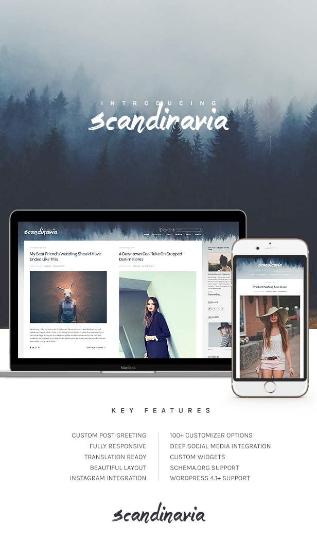 Scandinavia - Blogging Theme For WordPress - 2