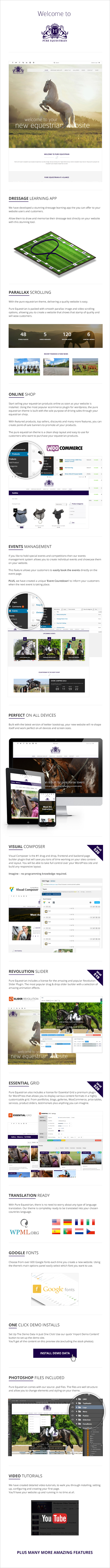 Pure Equestrian - Horse And Stable Yard Management WordPress Theme - 5