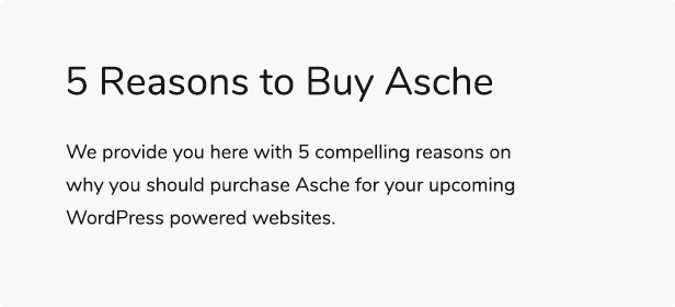 Asche - Complete Coming Soon and Maintenance Mode Plugin - 4