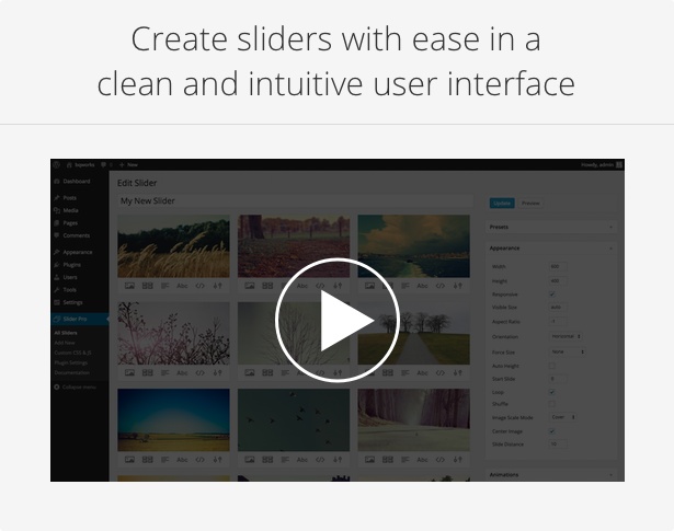 Slider Pro - Responsive WordPress Slider Plugin - 3