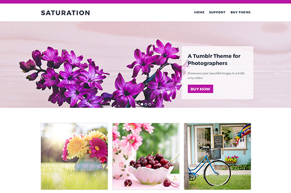 Saturation Tumblr Theme - 1