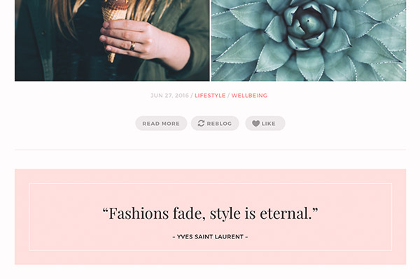 Fashion Chic Tumblr Theme - 3