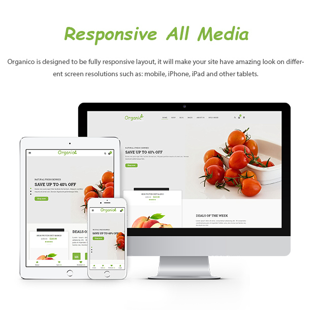 des_04_1_responsive