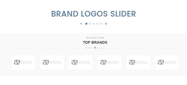 des_13_brand_slider