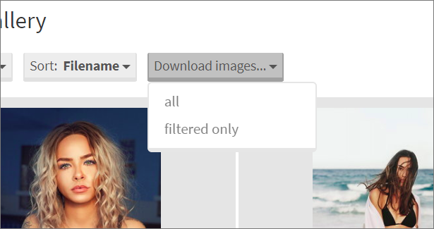 Download images plugin for Photo Selector - 2