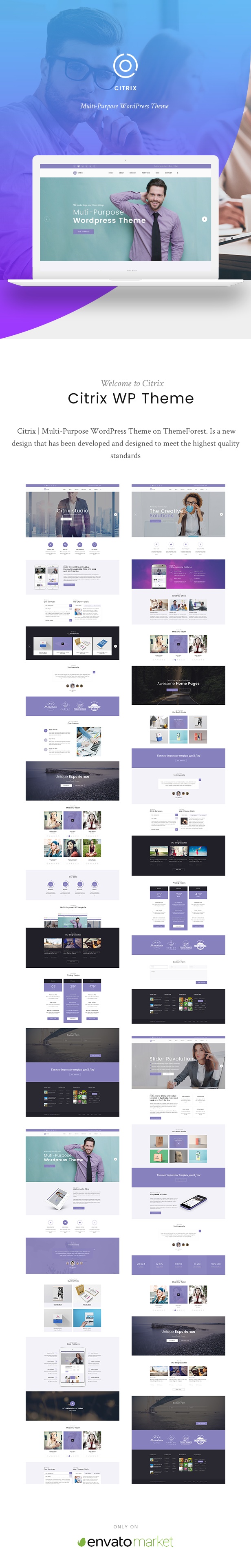 Citrix - Business WordPress Theme - 1