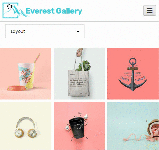 Everest Gallery - Responsive WordPress Gallery Plugin - 4