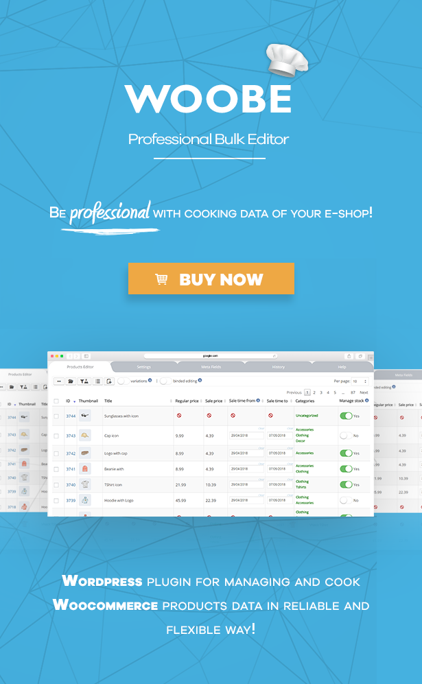 WooCommerce Bulk Editor Professional