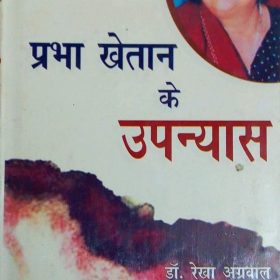 Prabhakhetan Ke Upnyas [Hardcover] Rekha Agrawal