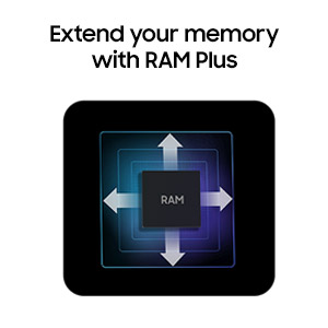 RAM Plus