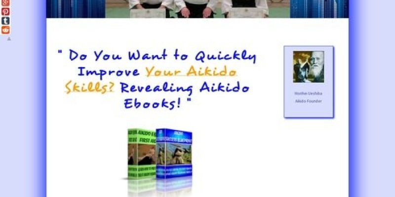 Aikido Ebooks Success Blueprint
