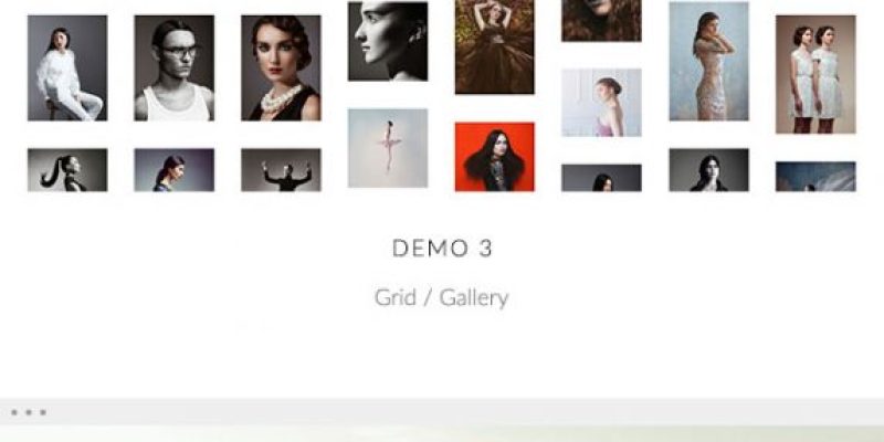 Luminary – Portfolio / Photography WordPress Theme