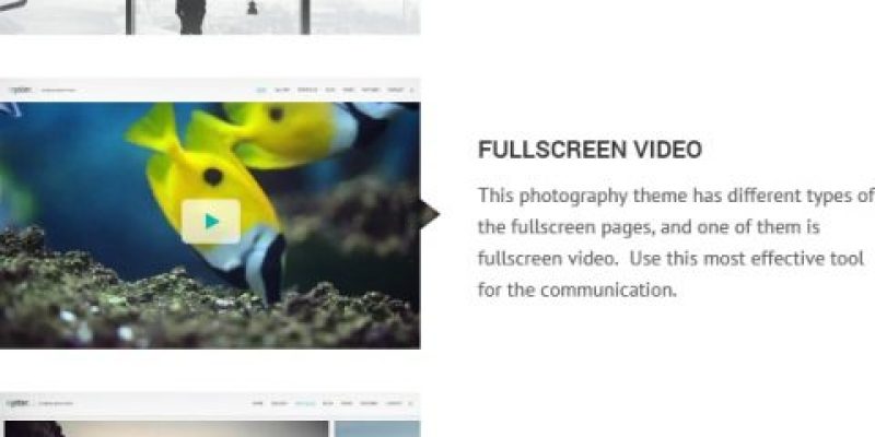 Oyster – Creative Photography HTML