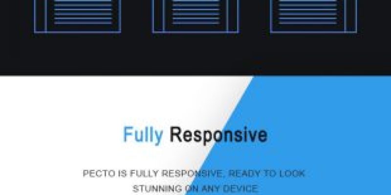 Pecto – Multipurpose HTML5 Template