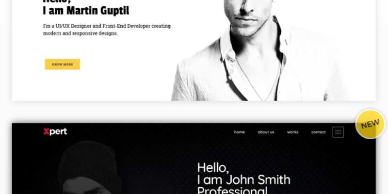 Xpert – Personal & Portfolio Muse Templates