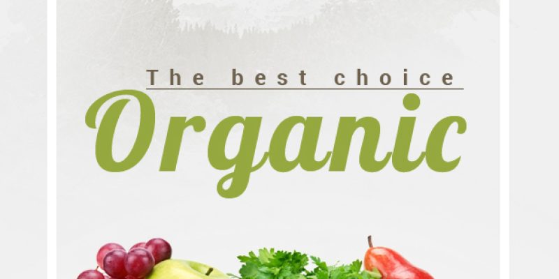 Ogani – Organic Food Store Theme for WooCommerce WordPress