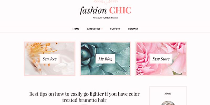 Fashion Chic Tumblr Theme