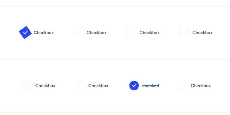 Checkbox & Radio Button