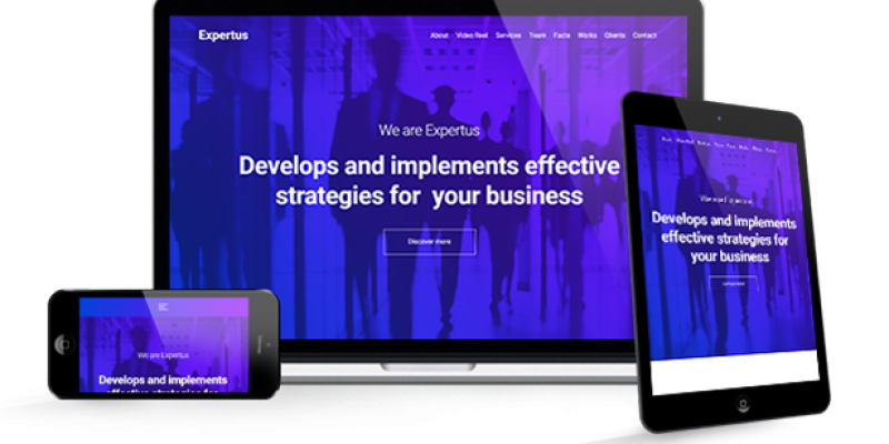 Expertus – Business / Corporate / Company Responsive Muse Template