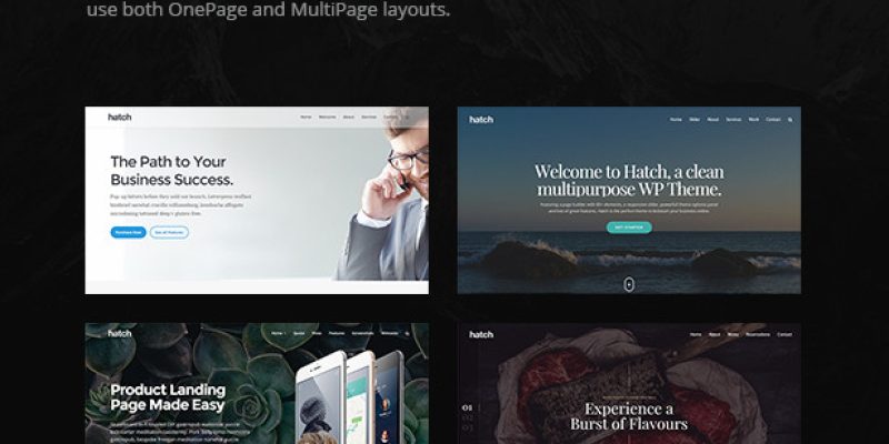 Hatch – MultiPurpose WordPress Theme