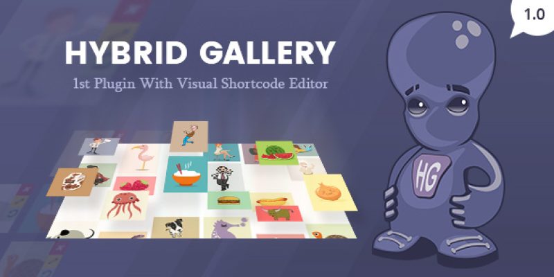 Hybrid Gallery | Visual Gallery Plugin for WordPress